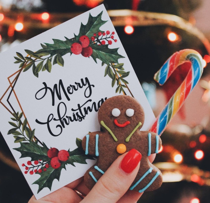 Create Memories with Your Alpine Christmas Tree