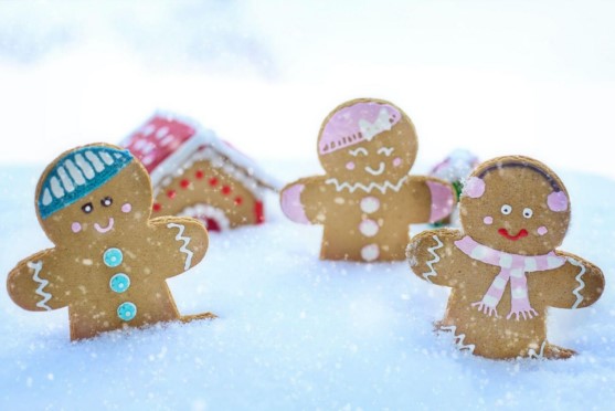 Festive Charm: Garland Christmas & Tabletop Trees